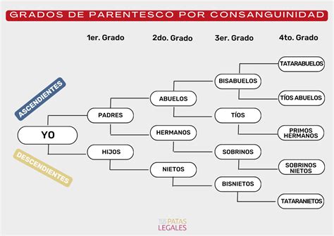 Importancia Y Efectos Del Parentesco Tus Patas Legales