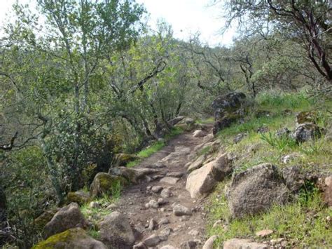 Trione Annadel State Park A Wild Paradise Sonoma County Tourism