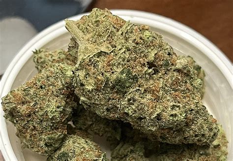 State expansion will soon connect more to Trulieve Washington 15