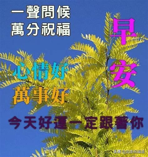 9月最新版早上好溫馨問候語句子 好看漂亮圖片 每日頭條