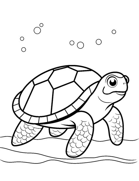 50 Turtle Coloring Pages Cute Free Sheets