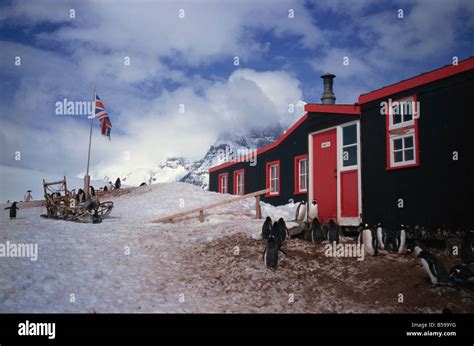 Port Lockroy Hut British Station Built In 1944 Antarctic Peninsula