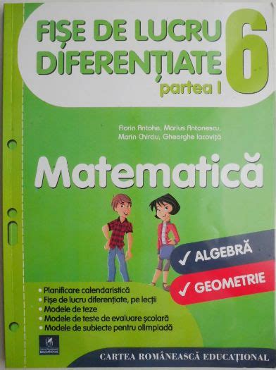 Fise De Lucru Diferentiate Algebra Geometrie Clasa A Vi A Partea I