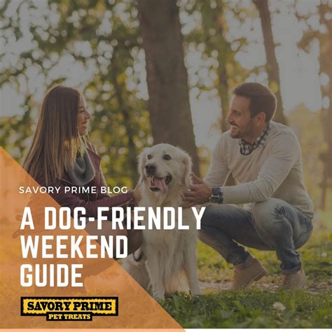 A Dog Friendly Weekend Guide Savory Prime Pet Treats