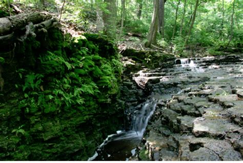 Waterfall Glen in Darien, IL - Forest Preserve District of DuPage County