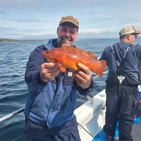 Big Pollack And More In Galway Bay Fishing In Ireland Catch The