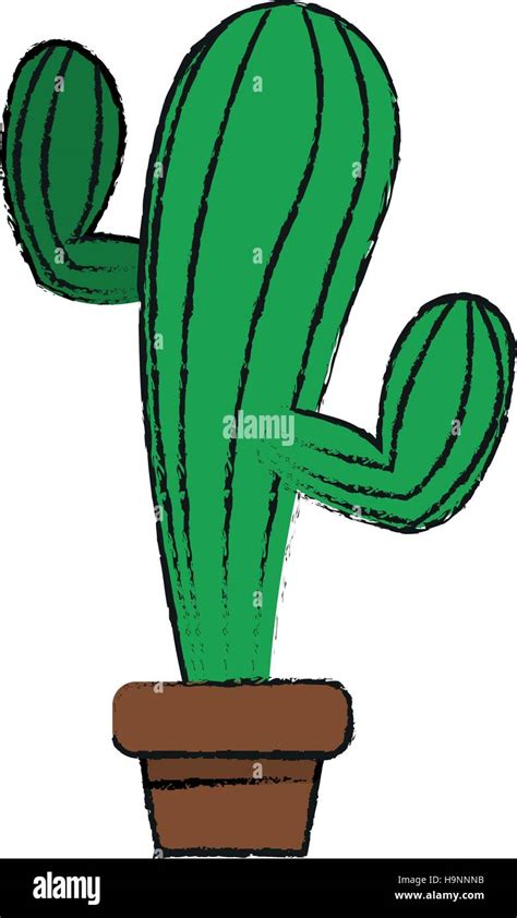 Isolated cactus design Stock Vector Image & Art - Alamy