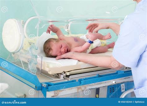 Newborn In Incubator Stock Photo Image Of Care Dream