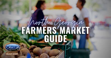 North Ga Farmers Markets