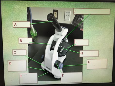 Compound Microscope Parts Quiz Diagram | Quizlet