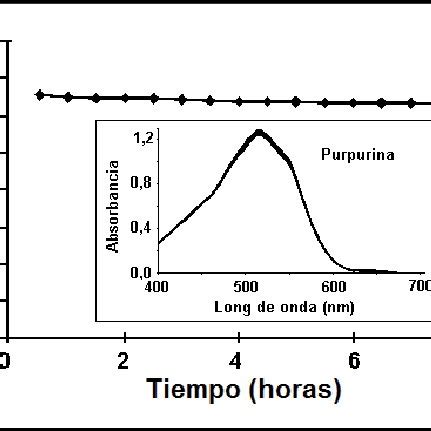 Espectros de absorción de a solución blanco agua etanol NH 4