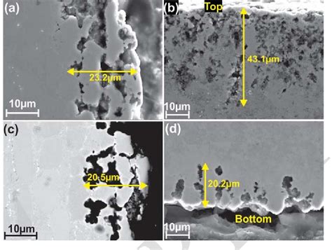 Figure 13 From Corrosion Of Steel Alloys In Eutectic Naclna2co3 At 700