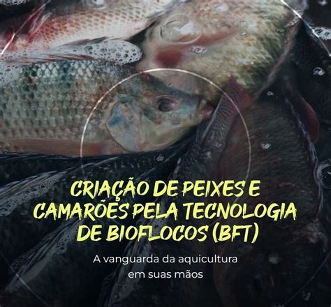 Curso Cria O De Peixes E Camar Es Pela Tecnologia De Bioflocos Bft