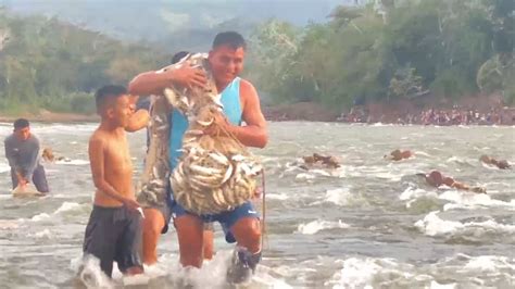 Pobladores Disfrutaron El Feriado Mijaneando En El R O Huallaga