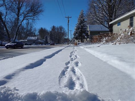 February snow in a mostly snowless Minnesota winter | Minnesota Prairie ...