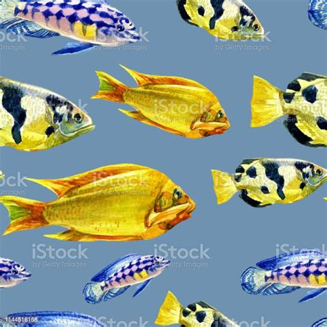 Pola Mulus Dengan Ikan Tropis Ilustrasi Stok Unduh Gambar Sekarang