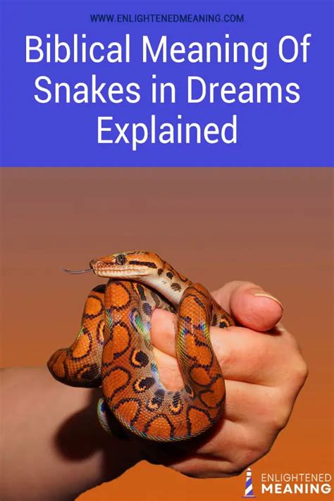 Biblical Meaning Of Snakes In Dreams Unraveling Spiritual Symbols And