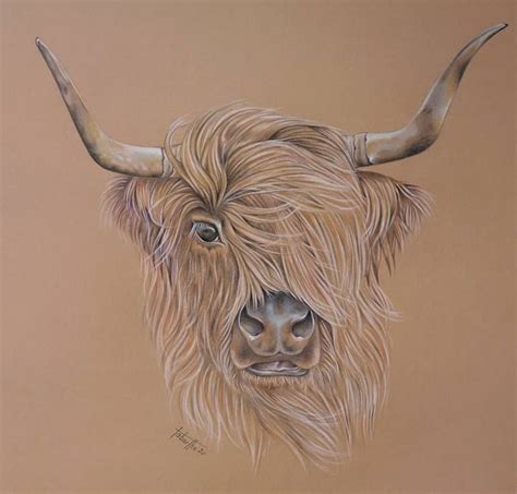 Scottish Highland Cow Drawing By Berengere Labarthe Saatchi Art Highland Cow Art Pencil