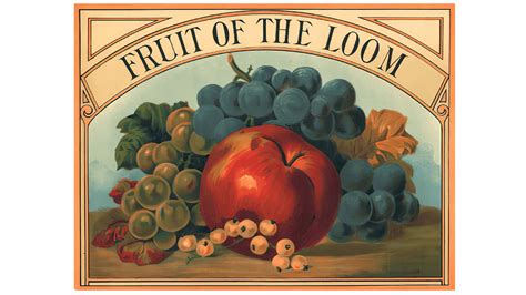 Fruit of the Loom Logo and symbol, meaning, history, PNG, brand