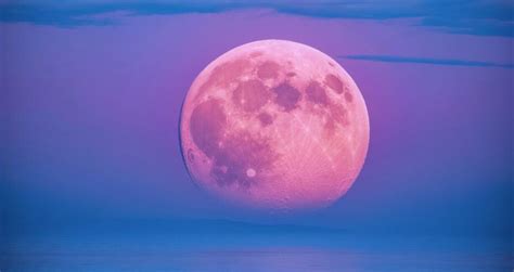 ¿cuándo Y Cómo Ver La Luna Rosa De Abril 2024