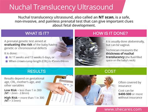 Abnormal Nuchal Translucency Normal Baby - expeditionwoman