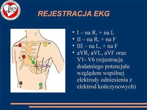 Fizjologiczne I Patofizjologiczne Podstawy Interpretacji Ekg