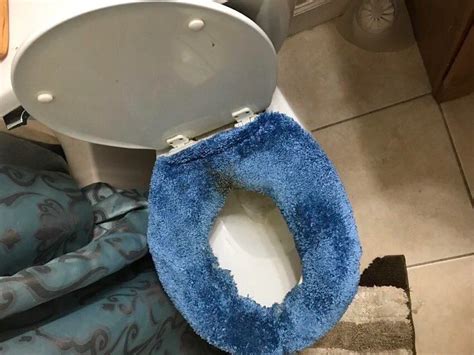 Thanks I Hate Fuzzy Toilet Seat Covers R Wowiactuallyhatethis