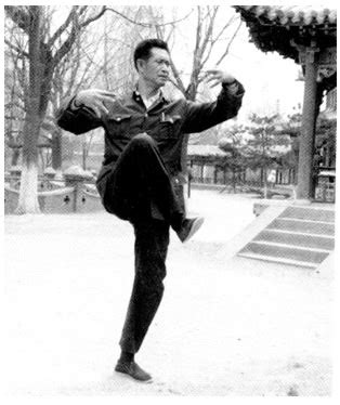 Zhan Zhuang Combat Postures – Internal Arts International