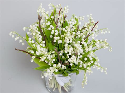 Fonds d'ecran Muguet de mai Fleurs télécharger photo