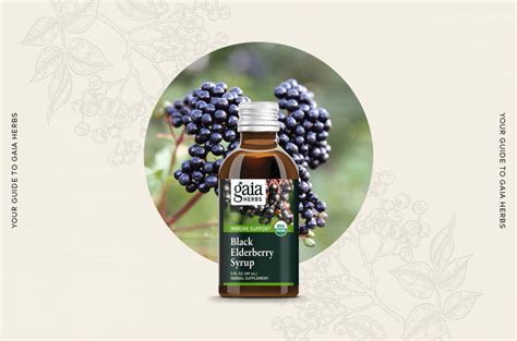 Your Guide to Gaia Herbs’ Black Elderberry Syrup: Gaia Herbs®