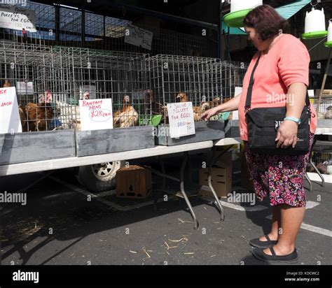 Queen Victoria Market Queen Street Melbourne Australia Stock Photo Alamy