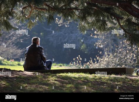 Personas sentadas debajo del arbol fotografías e imágenes de alta