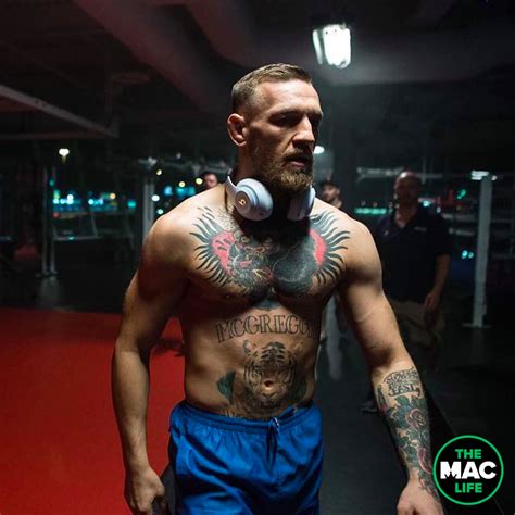 Conor Mcgregor Conor Mcgregor Style Conor Mcgregor Fight Connor Mcgregor Boxing Fight Mma