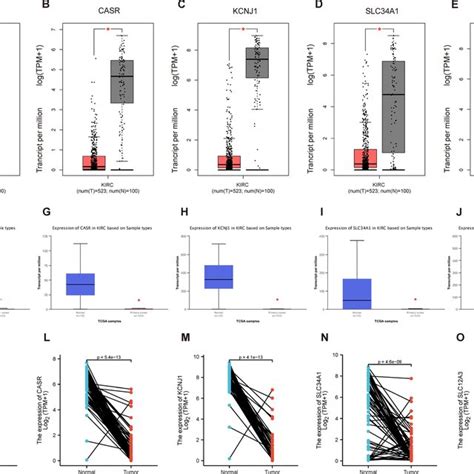 Protein Expression Levels Of Hub Genes In Ccrcc Ae Show The Results