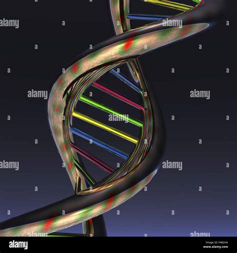 Dna Stock Photo Alamy