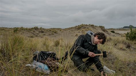 Can Hidden Fungal Networks Help Save Earthly Existence? - The New York