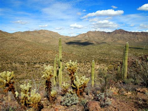 Hiking and Treasure Hunting in the Tucson Mountain Park – WatsonsWander