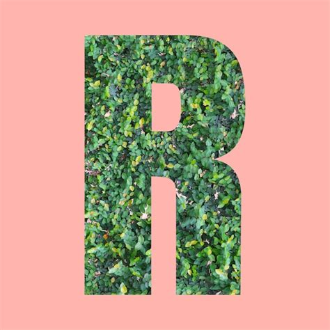 Letras Do Alfabeto De Forma R No Estilo Folha Verde Sobre Fundo Rosa