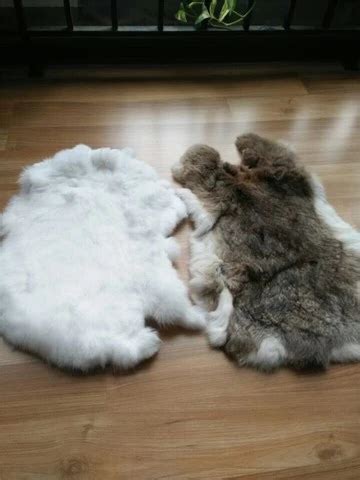 Buy 2 White Luxurious Rex Rabbit Fur Pelts Tanned Hides From Jinan