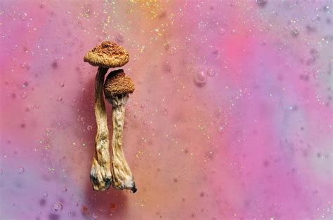 US collective to push for regulated access psychedelic microdoses 