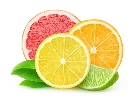 Citrus definition and meaning | Collins English Dictionary