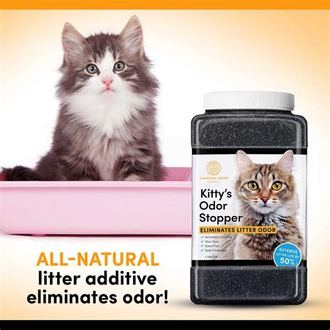 cat urine smells, kitty odor eiliminator, cat stink