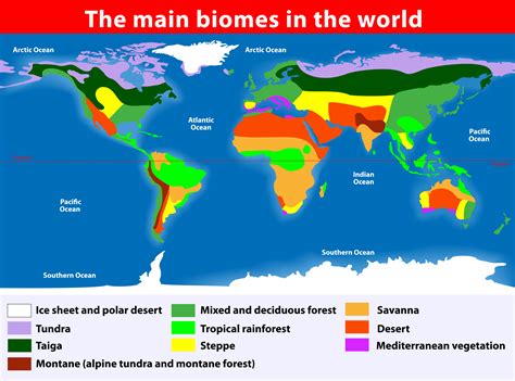 Biome Map Coloring Worksheet - Printable Calendars AT A GLANCE