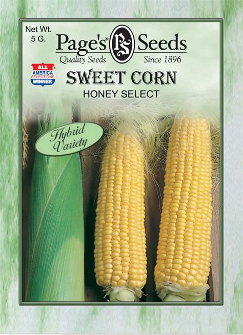 Sweet Corn Honey Select The Page Seed Company Inc