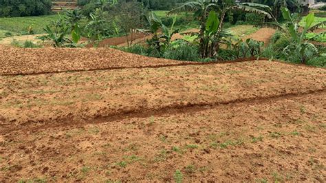 Pemanfaatan Lahan Kosong Untuk Pertanian Sebagai Potensi Lapangan Kerja