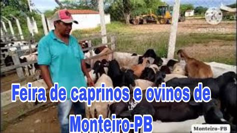 Feira De Caprinos E Ovinos De Monteiro Pb Youtube