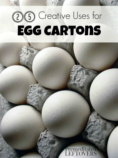 25 Creative Ways To Reuse Egg Cartons