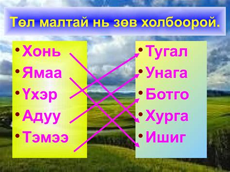 5 хошуу мал Ppt