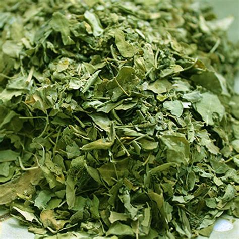 Moringa Leaves Dried Back To The Basics