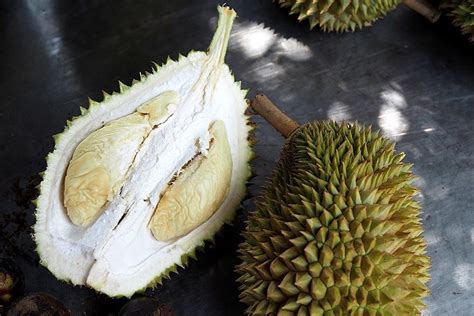 Types Of Durians And How To Pick The Best One Blog Youtrip Singapore